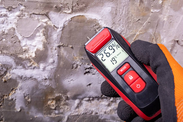 Best Attic Mold Remediation in Forked River, NJ